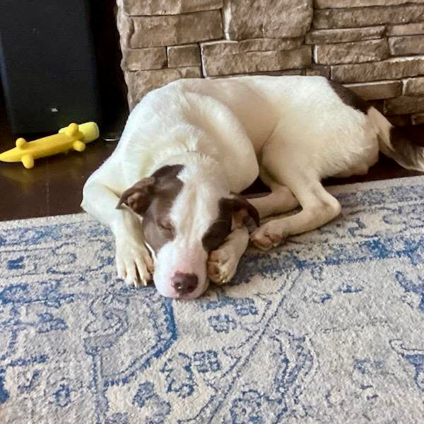 Roscoe